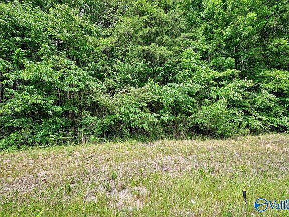 4th image of LOT 3 Mill Creek Rd