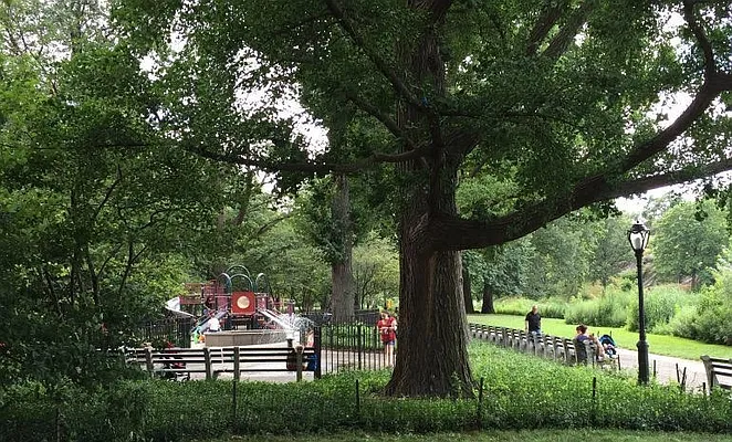 Rented by Bold New York | media 12