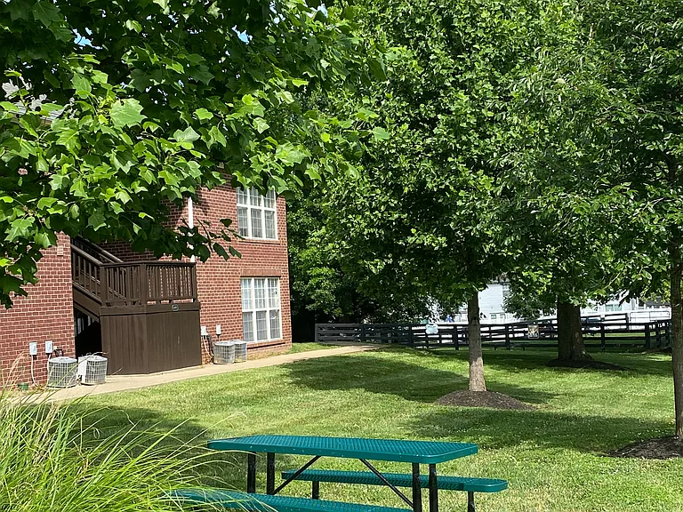 Relax in the beauty of nature with a picnic lunch.