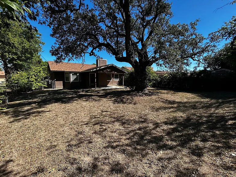 215 Bridle Dr — Photo 22