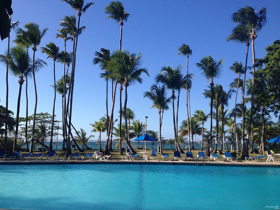 Semi-Olympic Pool