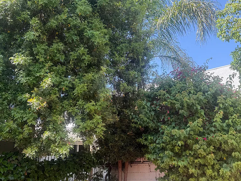 Coldwater Canyon Ave — Photo 23