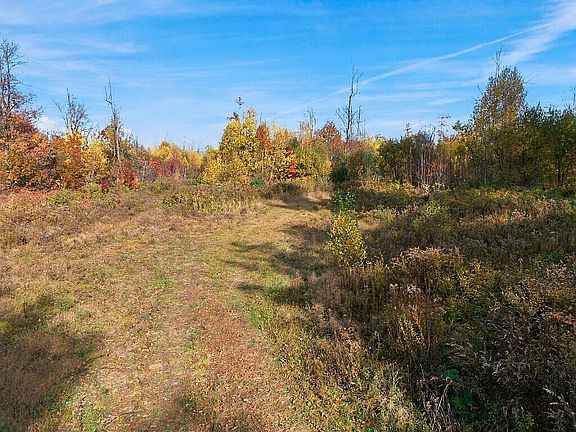 5th image of Lot 0050 Johnson Hill  Road