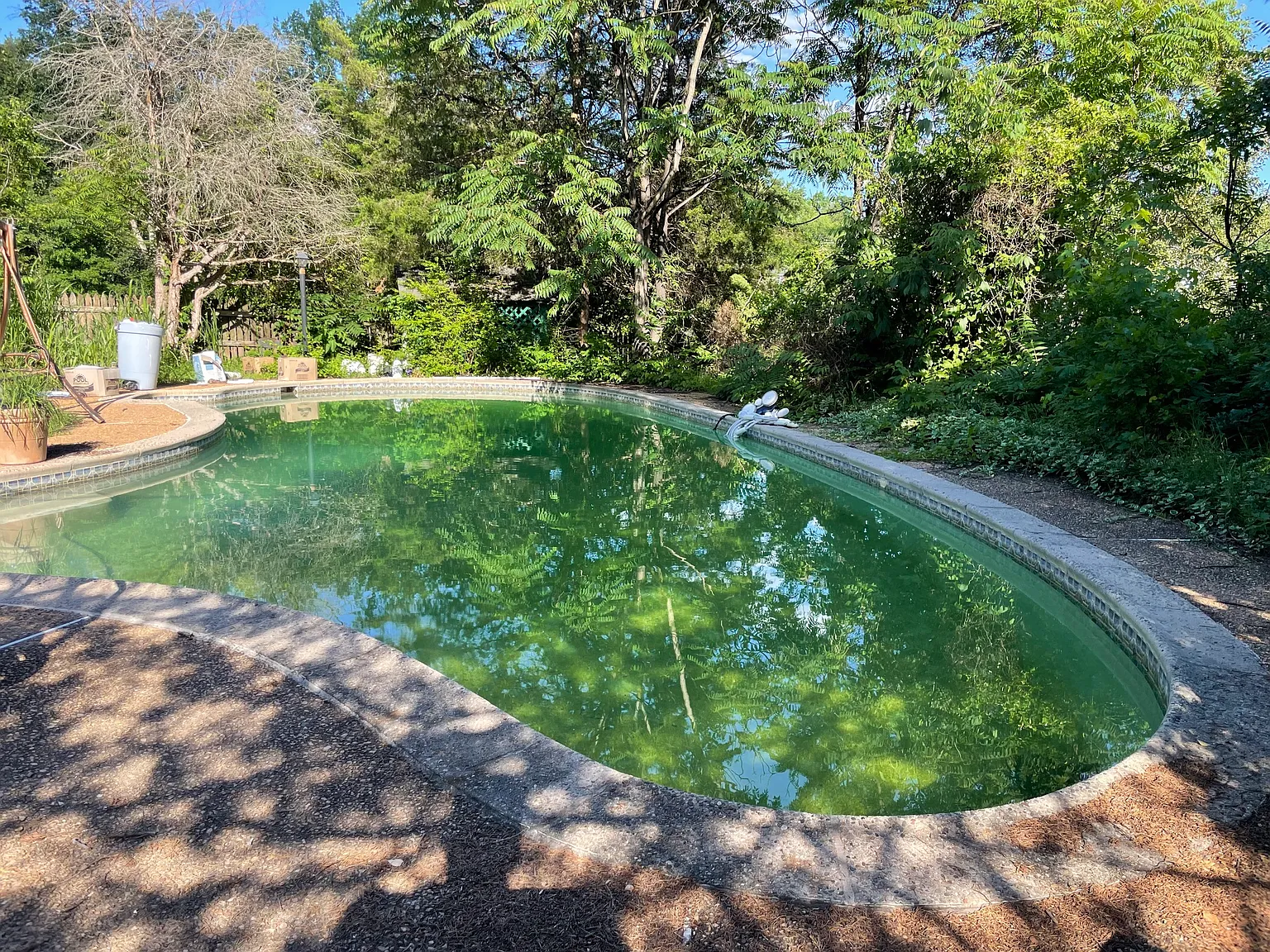 3 bed, 1978 sqft, $3,300 — Photo 4