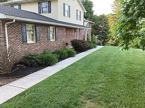 Front yard