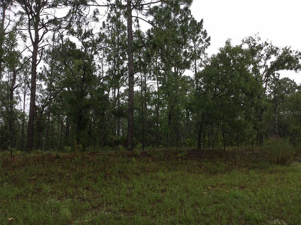 2nd image of 2191 W CITRUS SPRINGS BOULEVARD LOT 18