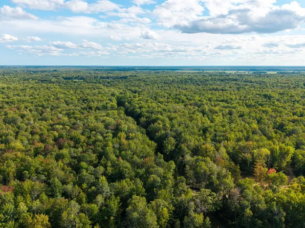 PARCEL E Baker Rd #D, Hope, MI 48628