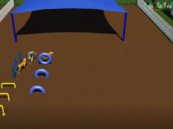 Planned Agility Course