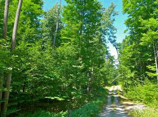 564 S M 88 Hwy, Bellaire, MI 49615