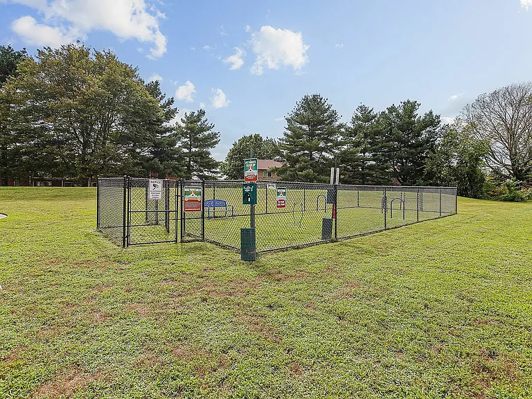 Dog Park