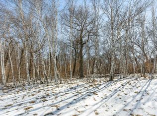 21781 Trestle Ridge Rd, Albany, MN 56307
