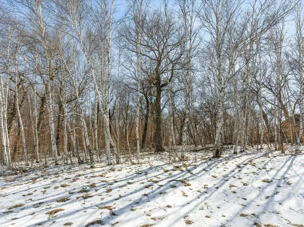 21781 Trestle Ridge Rd, Albany, MN 56307