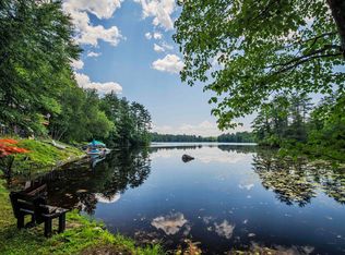 113 New Hampshire Dr, Webster, NH 03303