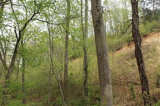2nd image of 584 Jack Saunders Rd