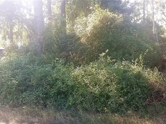 2nd image of 88888 57th St