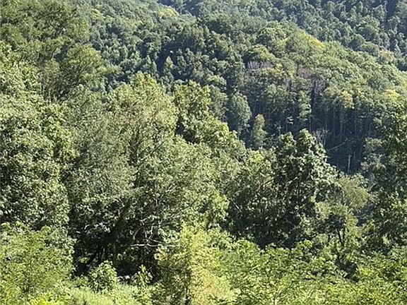 3rd image of TBD Big Laurel Road