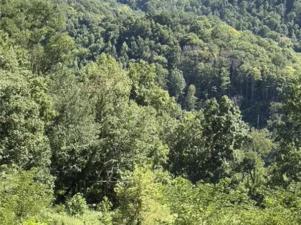 TBD Big Laurel Road, Creston, NC 28615