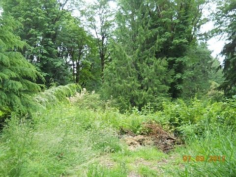 4th image of 4015 Country Club Dr NW