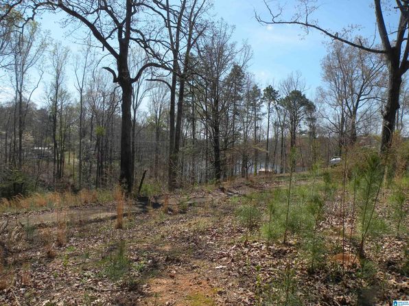 Talladega County, AL Land for Sale -- Acerage, Cheap Land & Lots for Sale