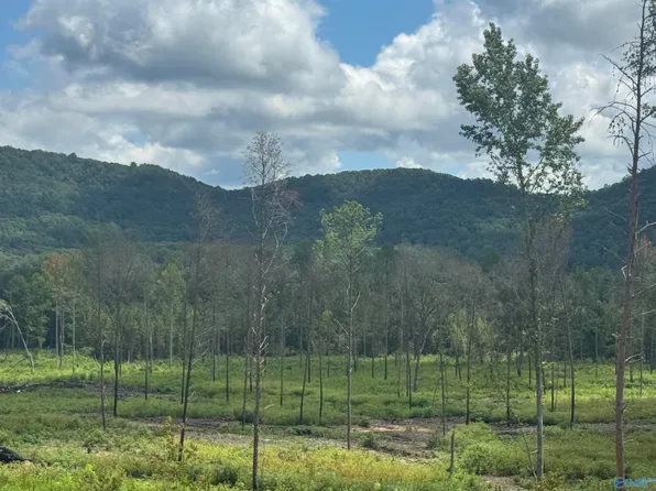 15 County Road 794, Gaylesville, AL 35973