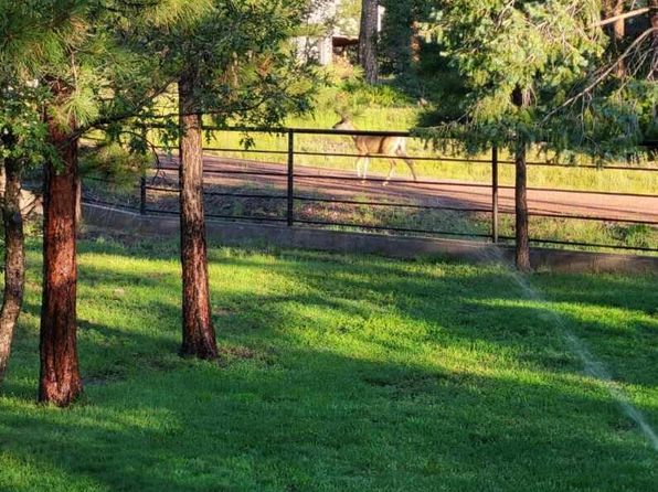 9 County Road 2074, Alpine, AZ 85920