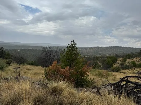 440 Perch Dr, Timberon, NM 88350