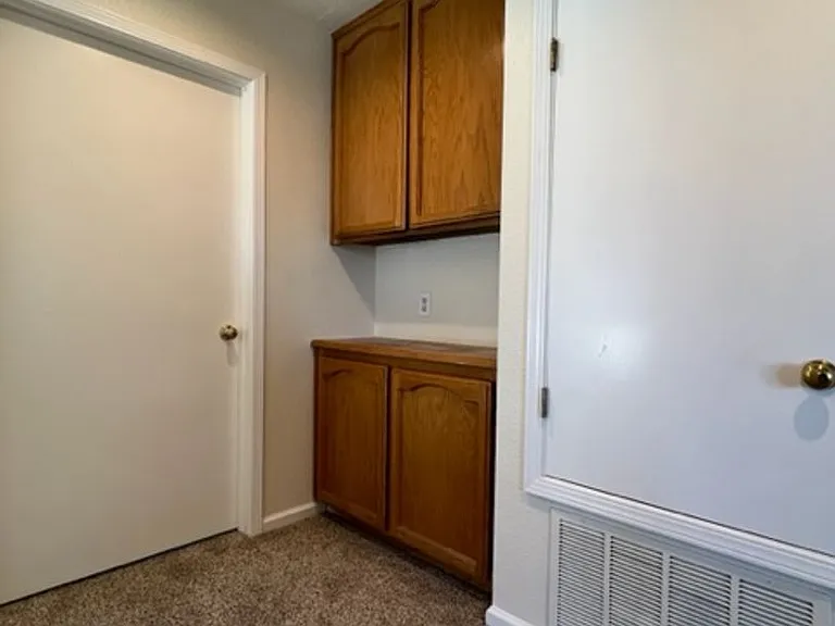 4200 Buckskin Dr — Photo 12