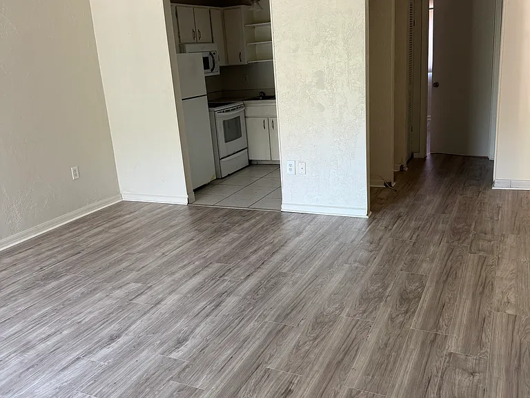 1350 S Palmetto Ave #203 — Photo 4