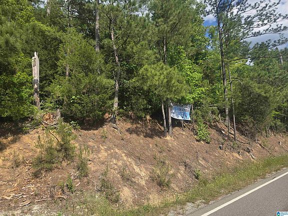 3rd image of 135 Big Chief Rd
