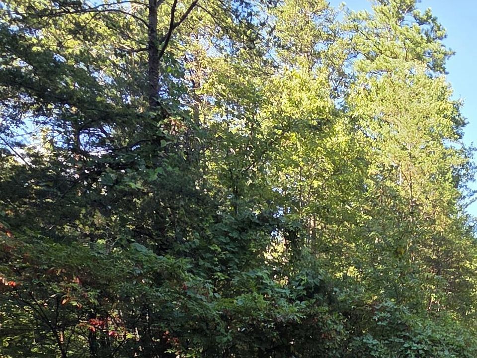 1st image of LOT 61 Buttonwood Dr