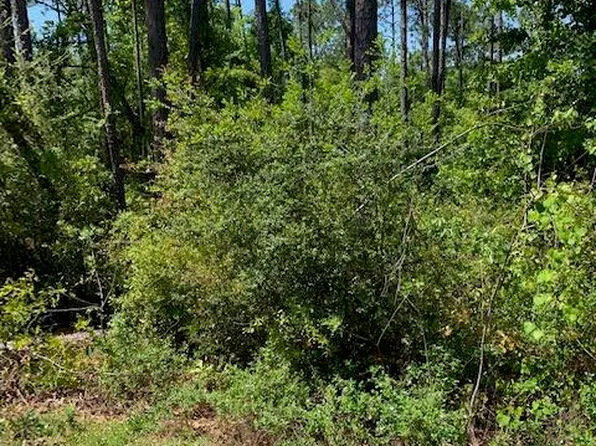 0 Edison Ave, Alford, FL 32420