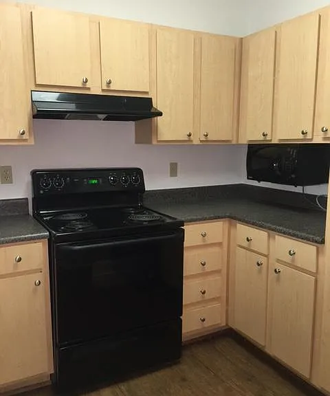 wood kitchen cabinets