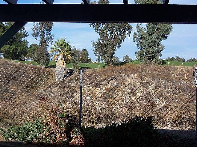 Backyard View