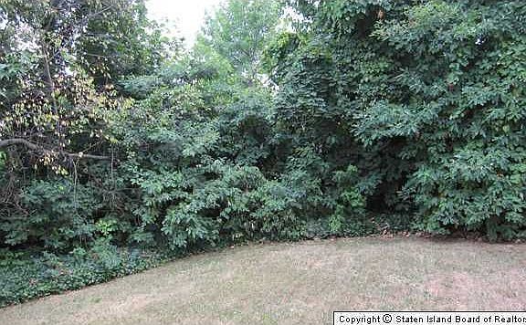 4th image of 86 William Ave