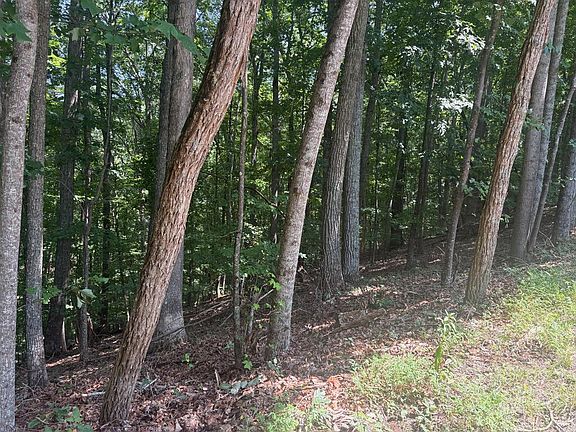 4th image of 3 Doc Thomas Ridge Rd