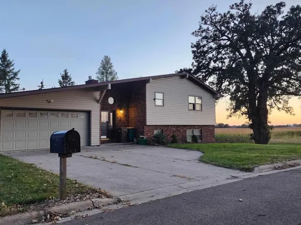 273 Park St, Emmons, MN 56029