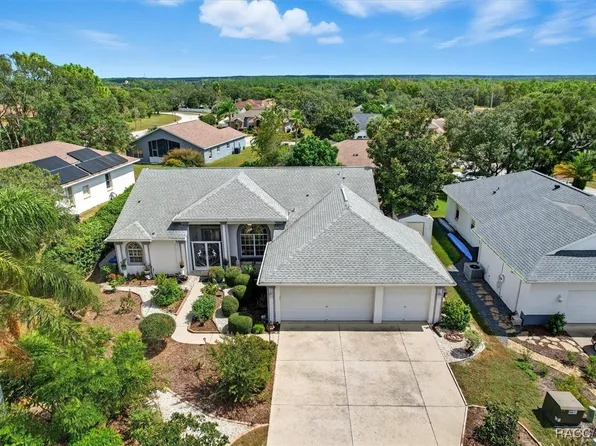 65 N Leafland Point, Lecanto, FL 34461