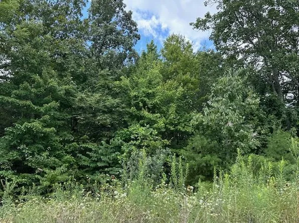 89 W Bobcat Ln, Wilder, TN 38589