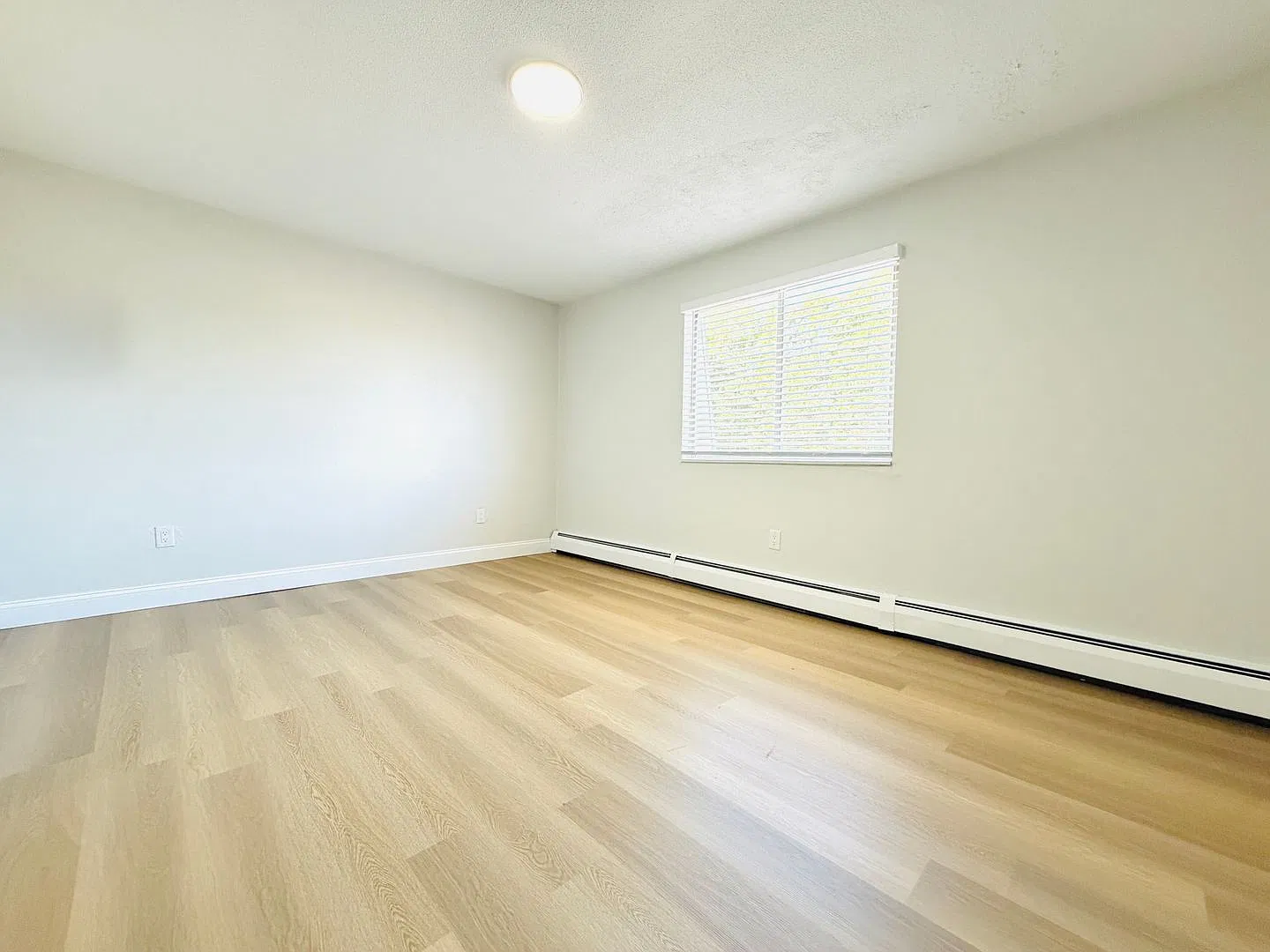Vine & Main | Newly Renovated 1 & 2 Bedrooms — Photo 3