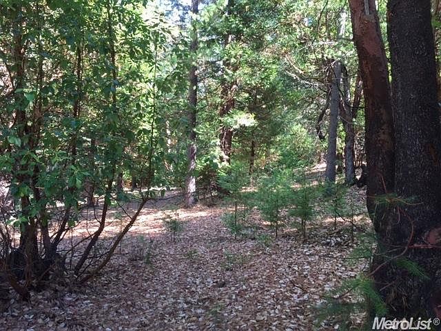 1st image of 16920 Golf Links Ct