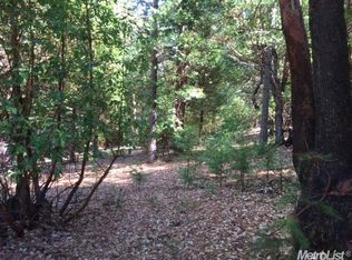 16920 Golf Links Ct, Pioneer, CA