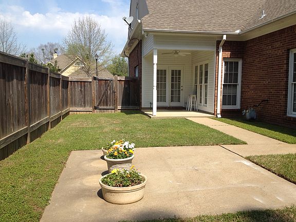 Back yard, den patio 