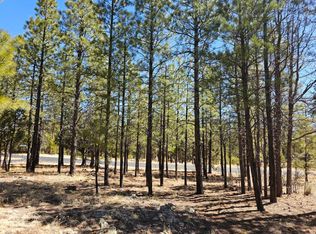 1618 Sugar Pine Dr, Happy Jack, AZ 86024