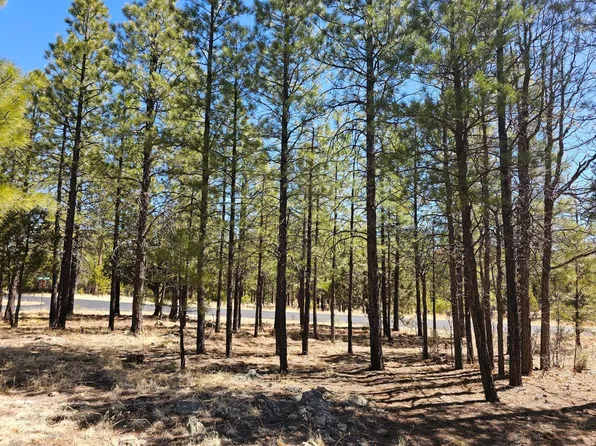 1618 Sugar Pine Dr, Happy Jack, AZ 86024