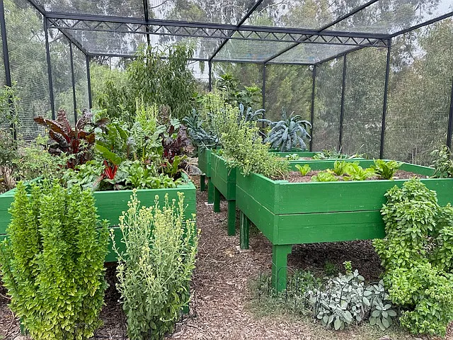Elfin Forest Rd — Photo 11