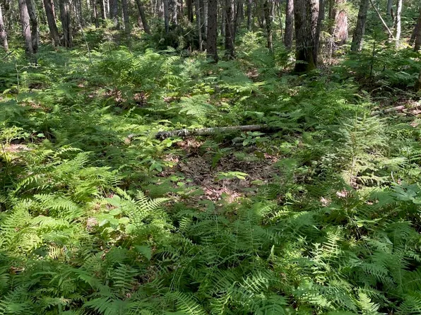 Lot 6F3 Hanley Farm Road, Bristol, ME 04539