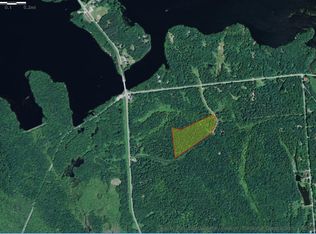 56 Great Salmon Wilderness, Redfield, NY