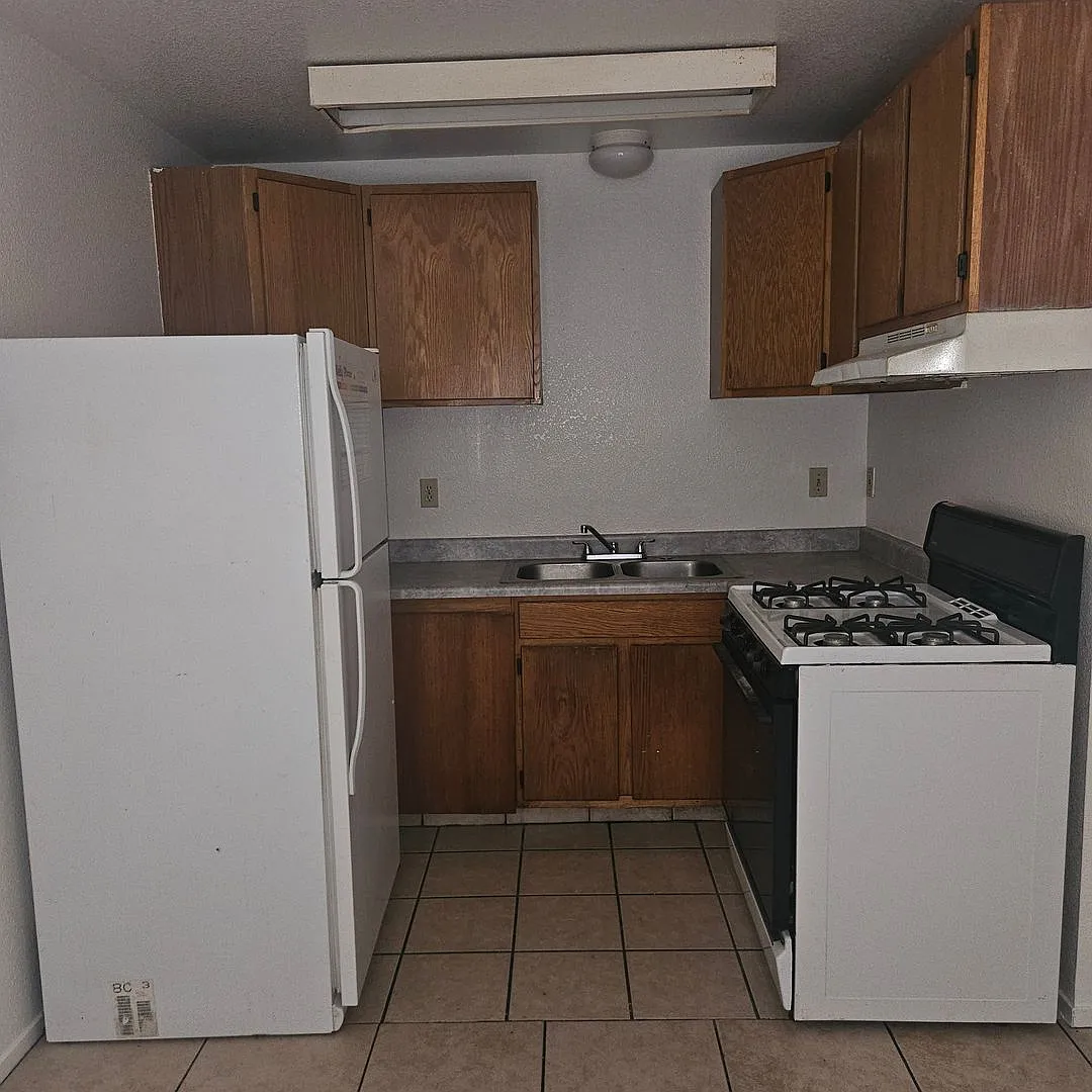 1513 Lynne Renee Ct — Photo 3