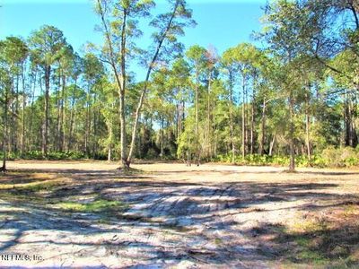 216 HAZEL Avenue, Georgetown, FL, 32139