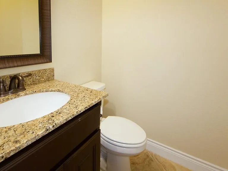 29131 Erica Lee Ct — Photo 20